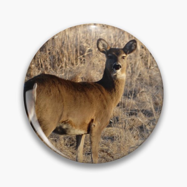 Item preview, White tail deer designed and sold by cowgirltracie.