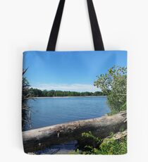 Lake Erie At Sheldon Marsh Tote Bag