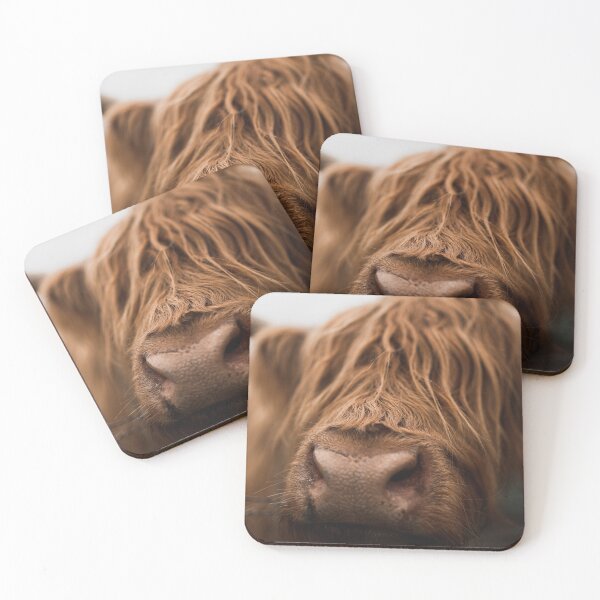 Item preview, Closeup of Horned Highland Cow designed and sold by ElishaKayne.