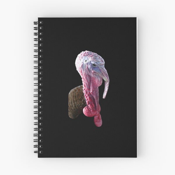 Item preview, Funny Animal Stickers: Mr. Turkey- A thanksgiving bird designed and sold by Memiefy.
