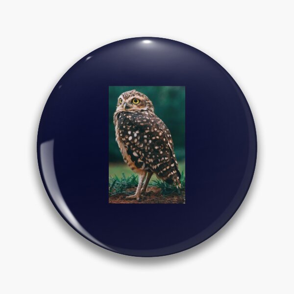 Item preview, Hawkward designed and sold by 7AJA.