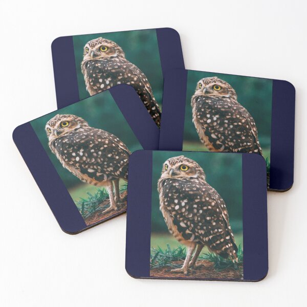 Item preview, Hawkward designed and sold by 7AJA.