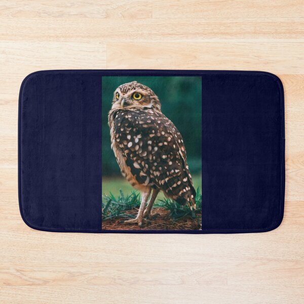 Item preview, Hawkward designed and sold by 7AJA.