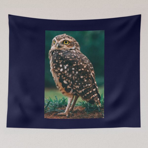 Item preview, Hawkward designed and sold by 7AJA.