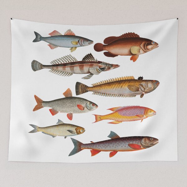 Item preview, Colorful Fish Illustration v3 designed and sold by SowCow.