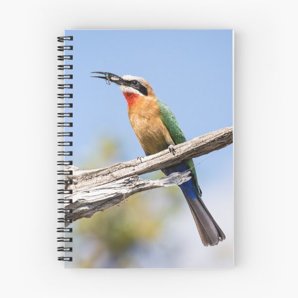 Item preview, White-fronted Bee-eater along the Chobe river, Botswana designed and sold by Robert Kelch, M.D..