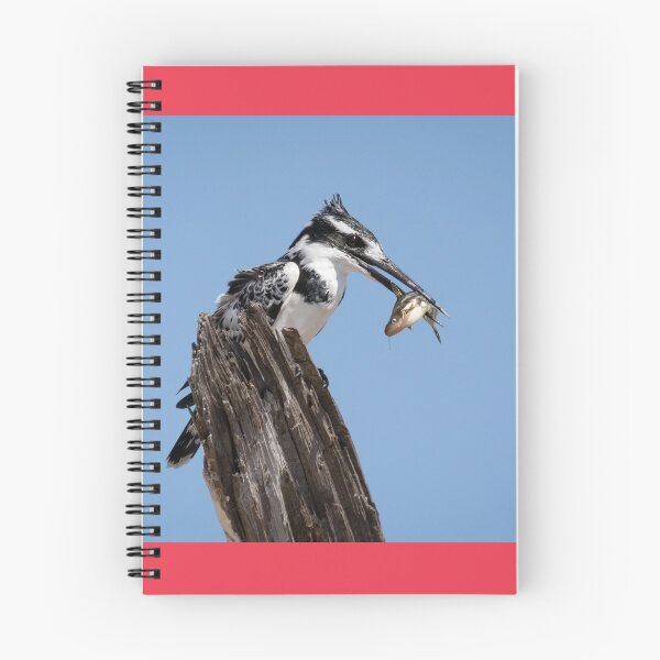 Item preview, Pied Kingfisher With His Catch From The Chobe River designed and sold by Robert Kelch, M.D..