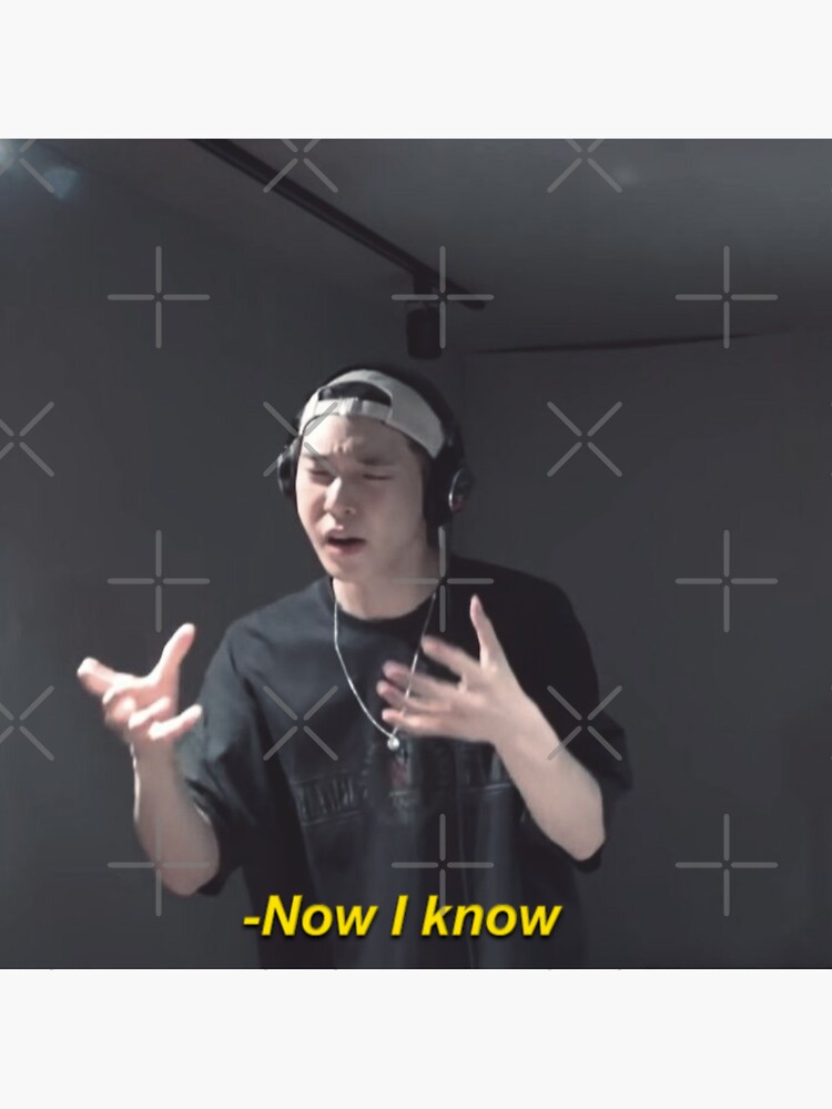 "NCT DOYOUNG FROM HOME "NOW I KNOW" MEME QUOTE SUBTITLES" Sticker by