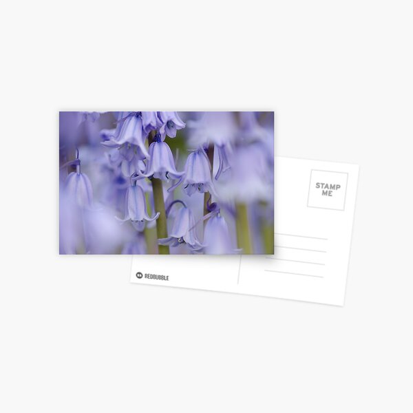 Aperçu de l'œuvre Bluebells créée et vendue par StephenJSmith.