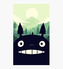totoro 1 Photographic Print