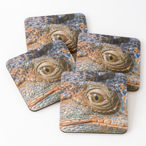 Item preview, Dino eyes designed and sold by David ST Loh Images.