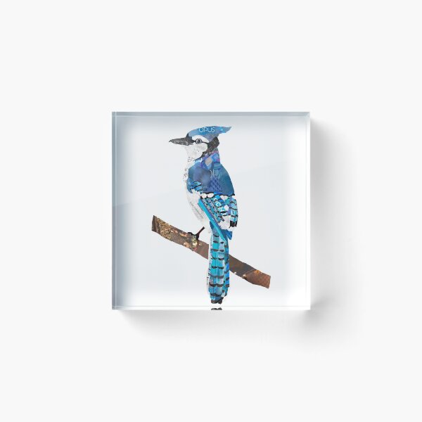 Item preview, Blue Jay Collage designed and sold by abbywolfen.