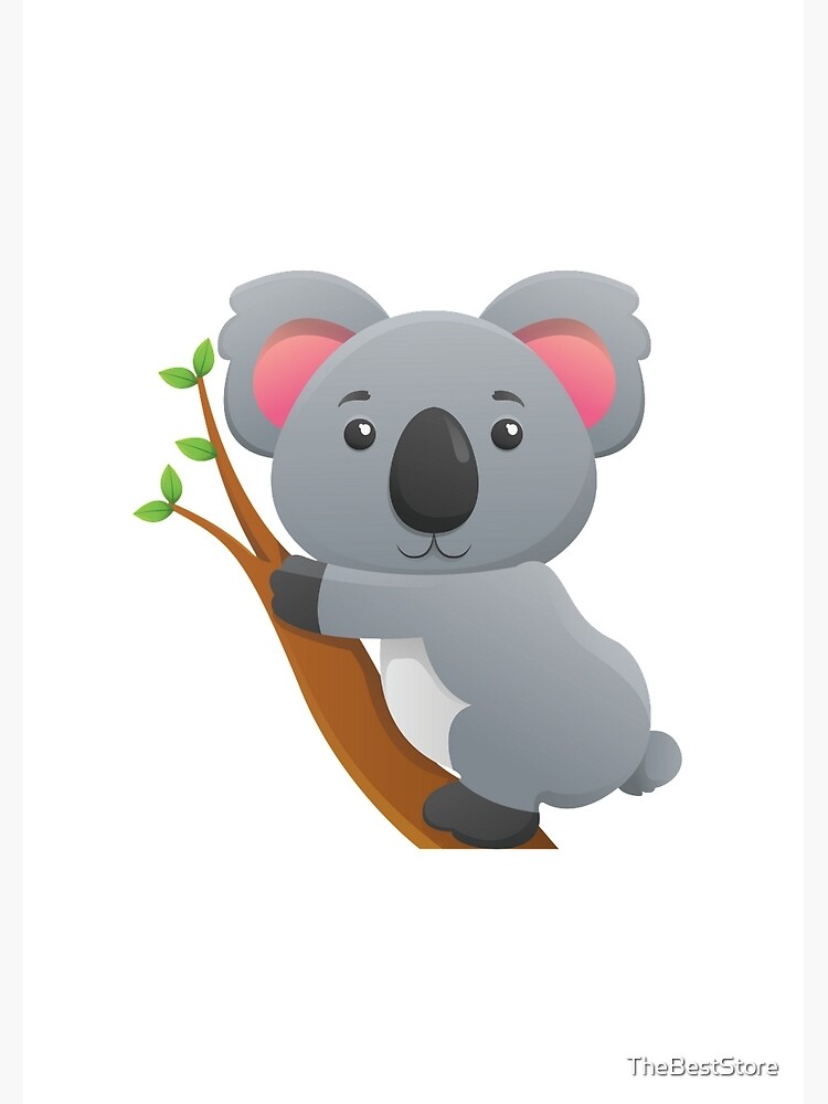 koala bear clipart