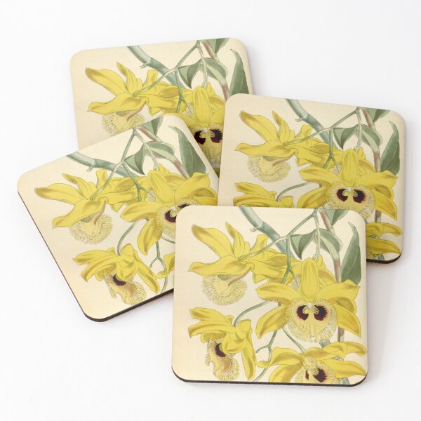 Item preview, Dendrobium hookerianum designed and sold by EsotericBotanic.