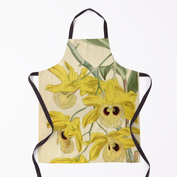 Item preview, Dendrobium hookerianum designed and sold by EsotericBotanic.