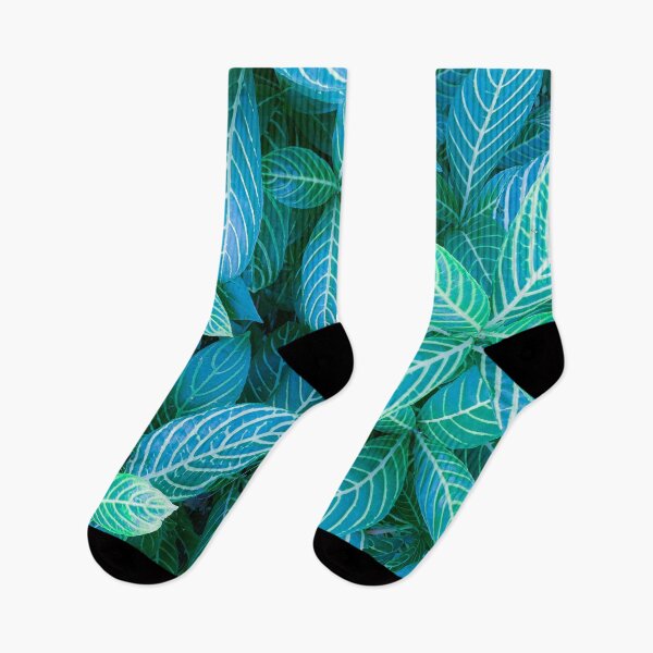 Item preview, Fitionia nerve indoor plant designed and sold by Kenzo Hosomi.