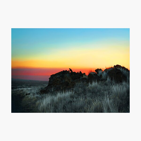 Hawai'ian Pop Art? Photographic Print