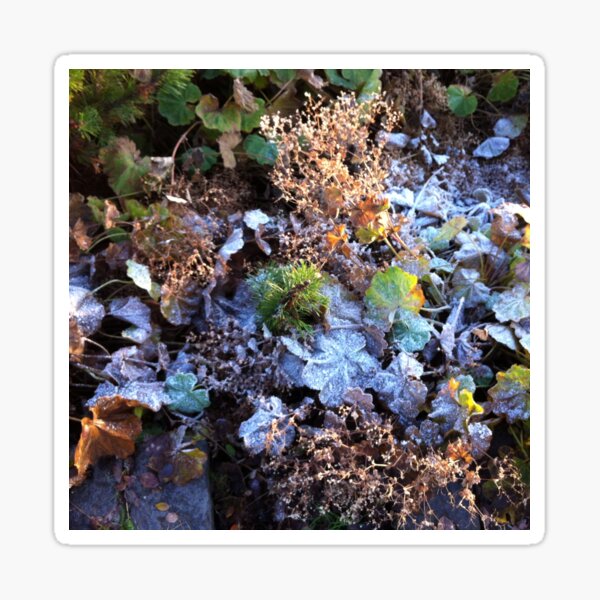 Item preview, Winter microcosm designed and sold by deepaHHV.