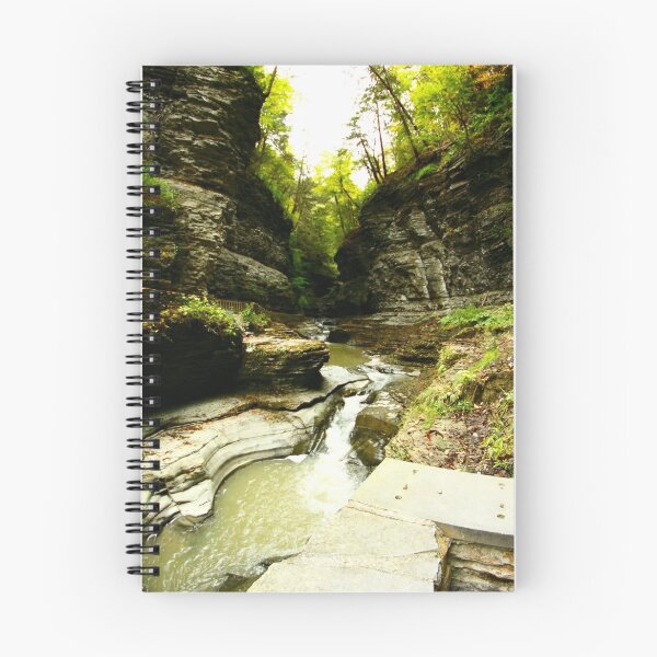 Item preview, Watkins Glen State Park designed and sold by RBrimer.