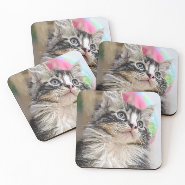 Item preview, Fluffy ragdoll Norwegian forest kitten designed and sold by Fluffycat2020.