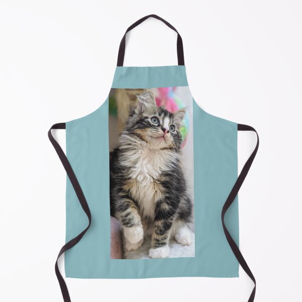 Item preview, Fluffy ragdoll Norwegian forest kitten designed and sold by Fluffycat2020.