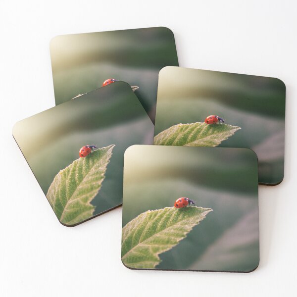 Item preview, Ladybird on a Leaf designed and sold by mrhighsky.