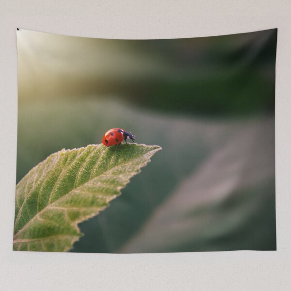 Item preview, Ladybird on a Leaf designed and sold by mrhighsky.