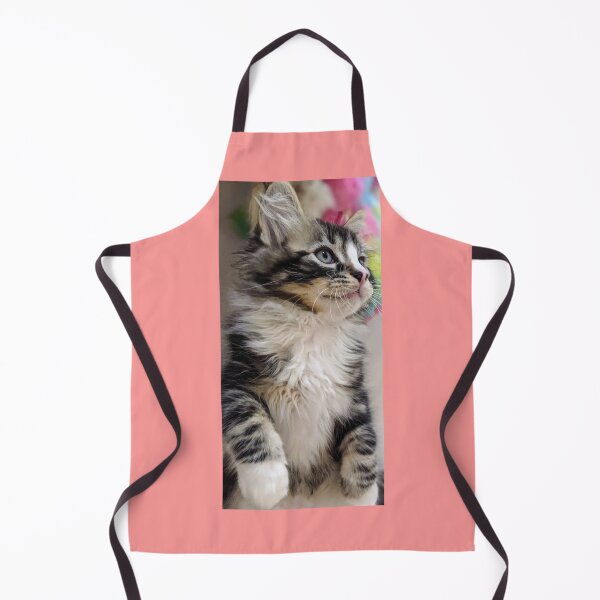 Item preview, Fluffy ragdoll Norwegian forest kitten designed and sold by Fluffycat2020.