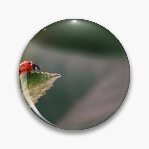 Item preview, Ladybird on a Leaf designed and sold by mrhighsky.