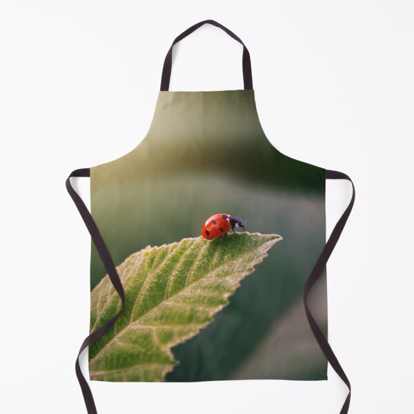 Item preview, Ladybird on a Leaf designed and sold by mrhighsky.