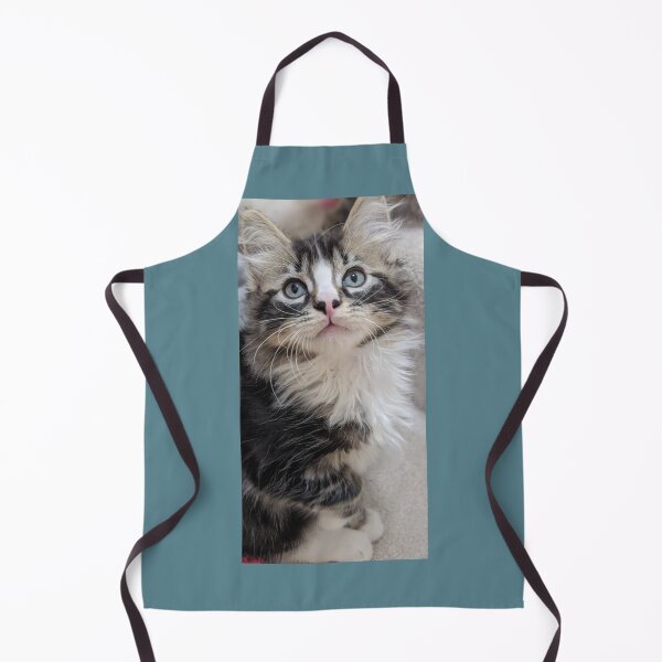 Item preview, Fluffy ragdoll Norwegian forest kitten designed and sold by Fluffycat2020.