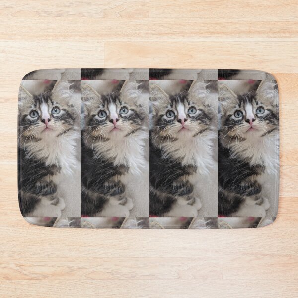 Item preview, Fluffy ragdoll Norwegian forest kitten designed and sold by Fluffycat2020.