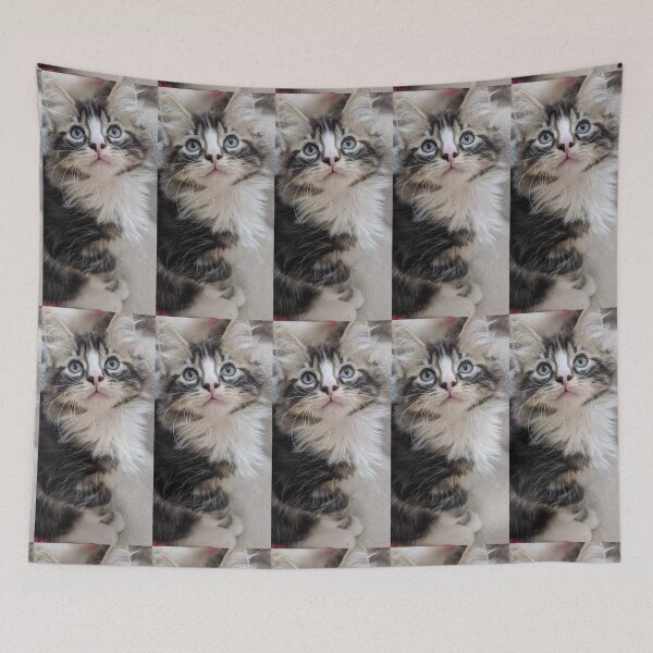 Item preview, Fluffy ragdoll Norwegian forest kitten designed and sold by Fluffycat2020.