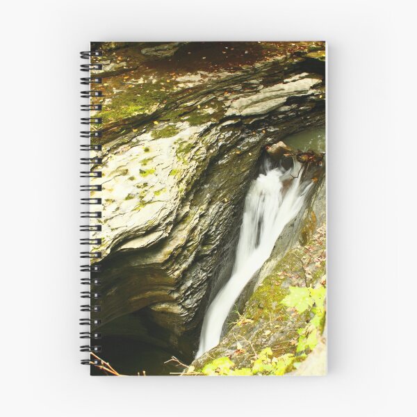 Item preview, Watkins Glen State Park designed and sold by RBrimer.
