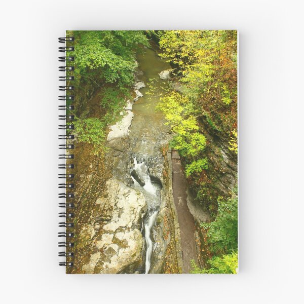 Item preview, Watkins Glen State Park designed and sold by RBrimer.