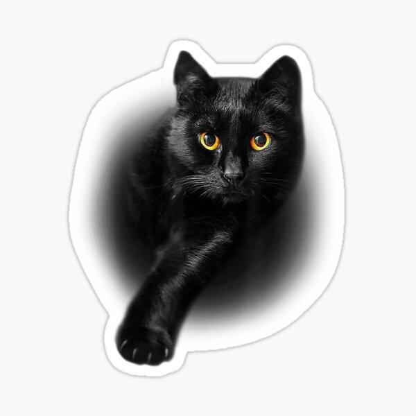 Black Cat with Yellow Eyes Sticker – Reverie Goods & Gifts