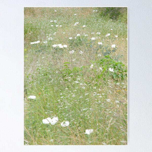 Item preview, Field of Prickly Poppies designed and sold by Navigator.