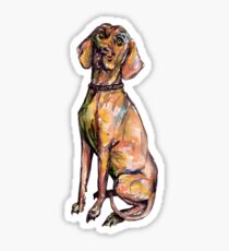 Hungarian Vizsla Dog Sticker