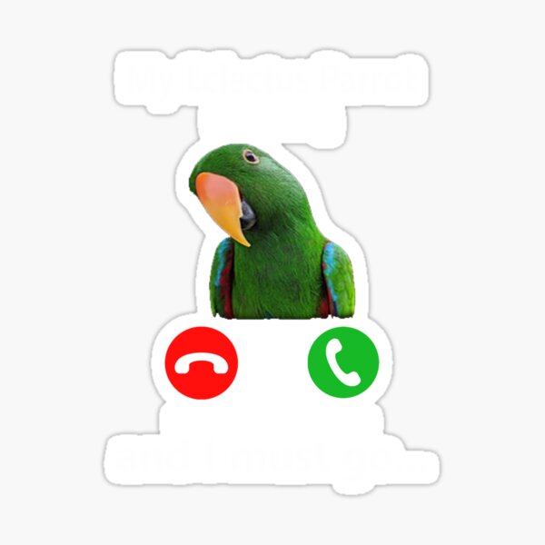 Item preview, My Eclectus Parrot Is Calling And I Must Go bird parrot fun designed and sold by davidcgonzale.