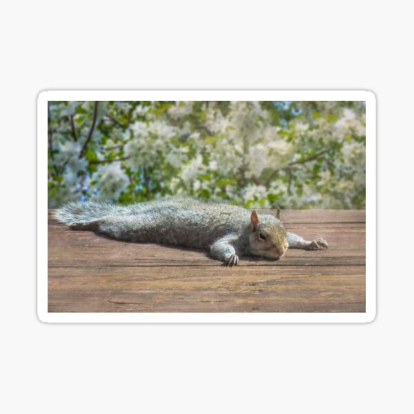 Relax this Spring! Sticker