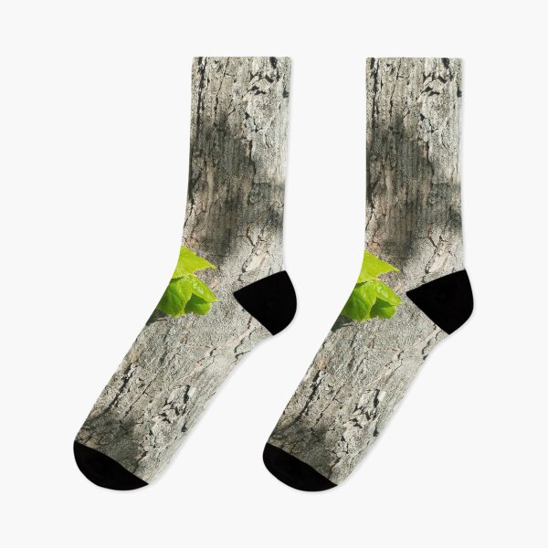 Item preview, A branch of new life on a bright spring day, natural background  designed and sold by helenkaiy.