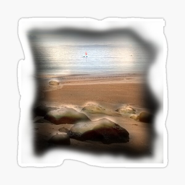 Brown and Blue Aesthetic Shoreline Photo Design Sticker
