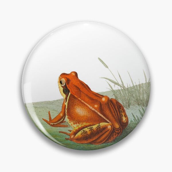 Item preview, Vintage Frog Image designed and sold by Blok45.