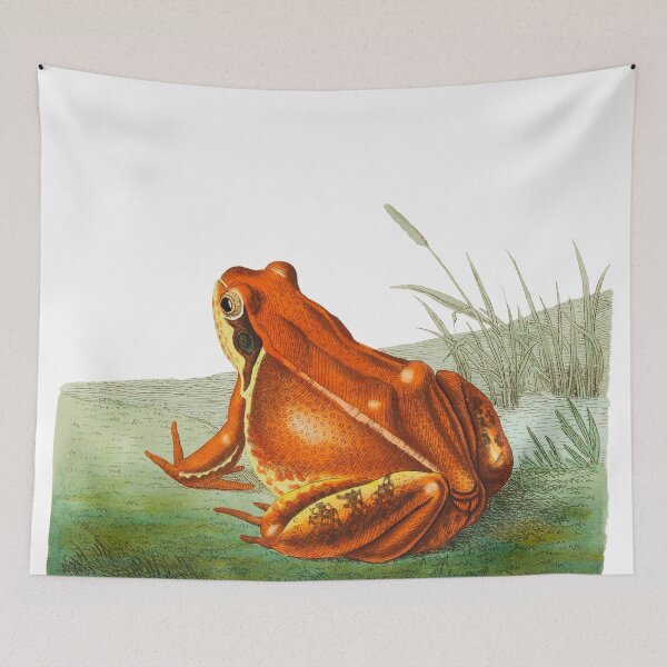 Item preview, Vintage Frog Image designed and sold by Blok45.