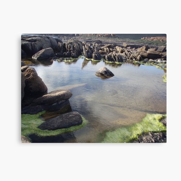 Item preview, Rock Pool, ocean designed and sold by Aroundabout.