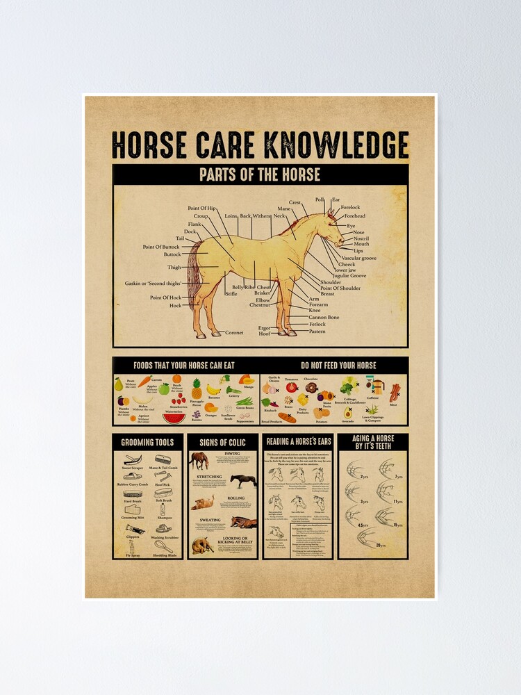 "HORSE CARE KNOWLEDGE" Poster by KDrescher Redbubble