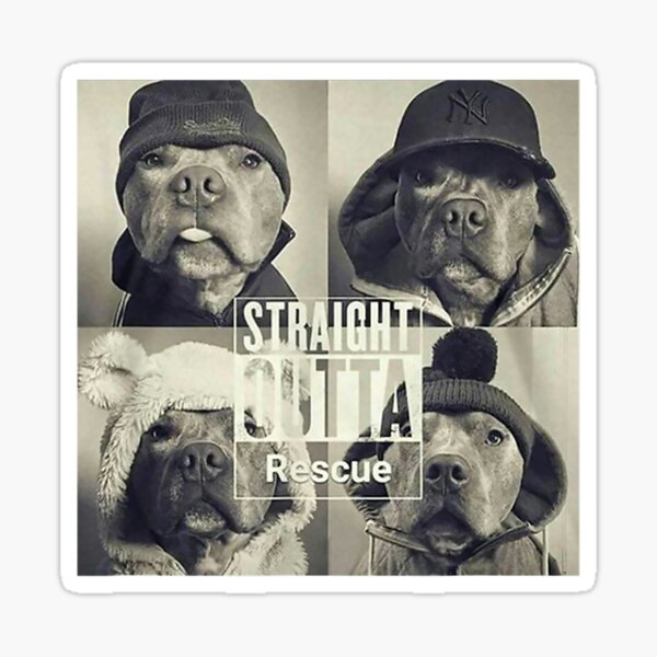 Item preview, Straight Outta Rescue Pitbull  designed and sold by JamesArtism.