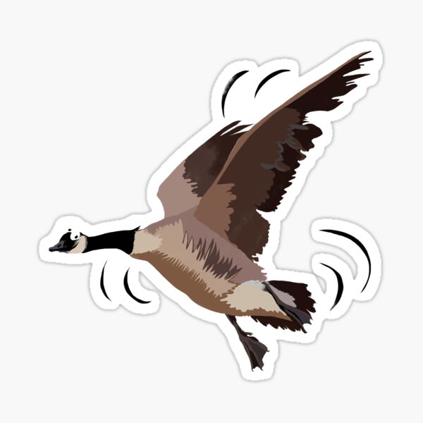 Canada goose Sticker