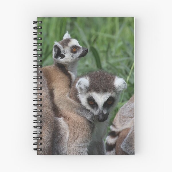 Item preview, Ring-tailed Lemur Family designed and sold by Mythos57.