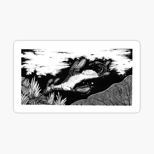 Sea Dragon Sticker